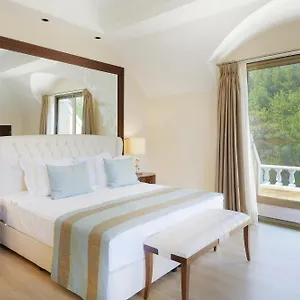 Superior Room Mountain View